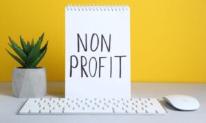 Non-Profit Organisations